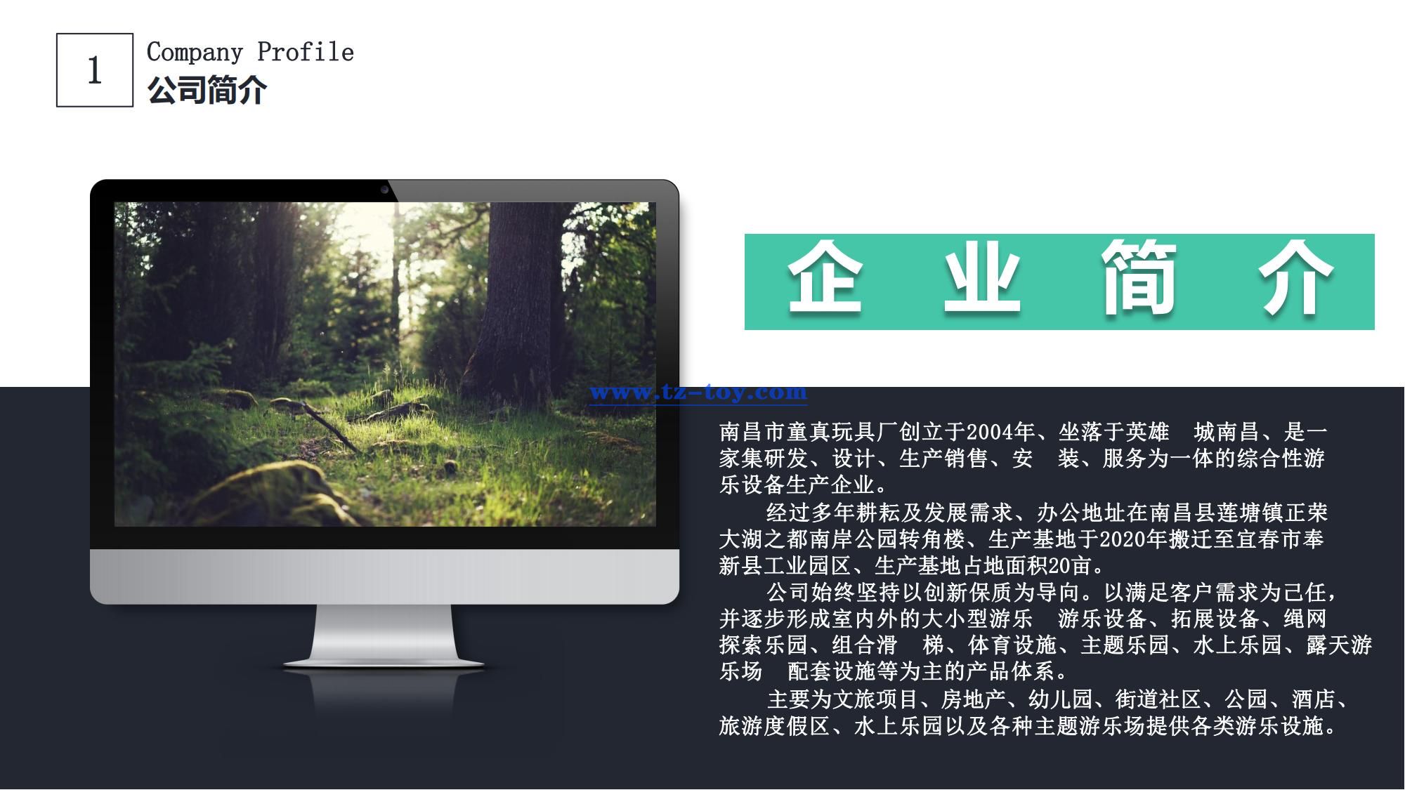 江西童真游樂(lè )設備 (3).jpg